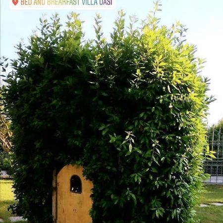Villa Oasi San Giuliano Terme Exterior foto