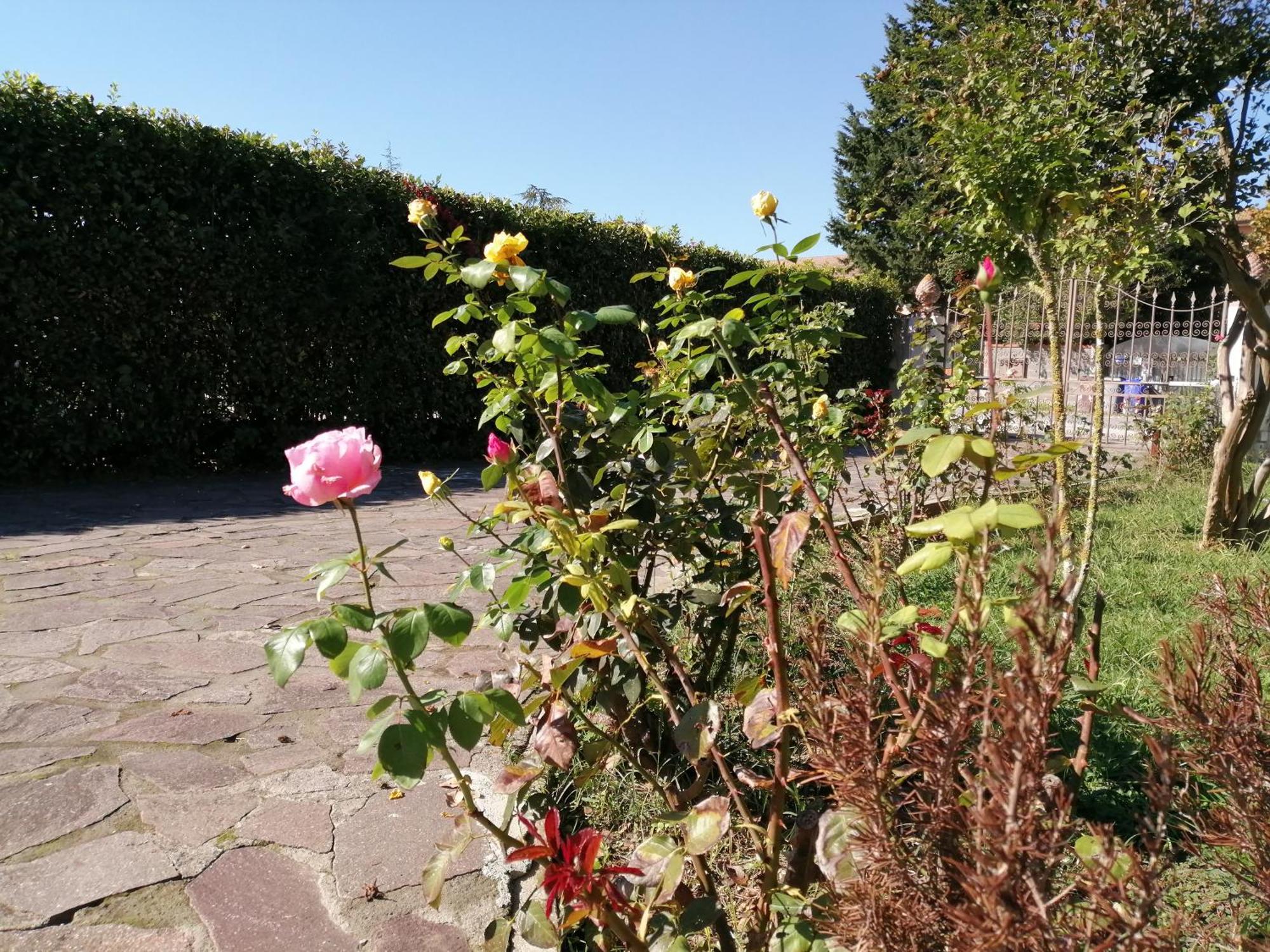 Villa Oasi San Giuliano Terme Exterior foto